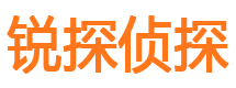 新城区侦探社